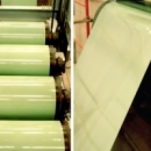 bat-mi-cach-phan-biet-cac-loai-ton-co-the-ban-chua-biet